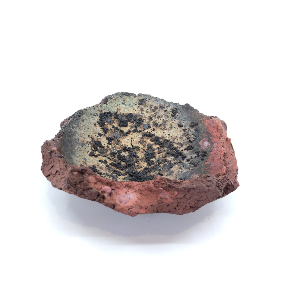 Photo_Oct_16_3_13_04_PM__89523.1605055647.1280.1280