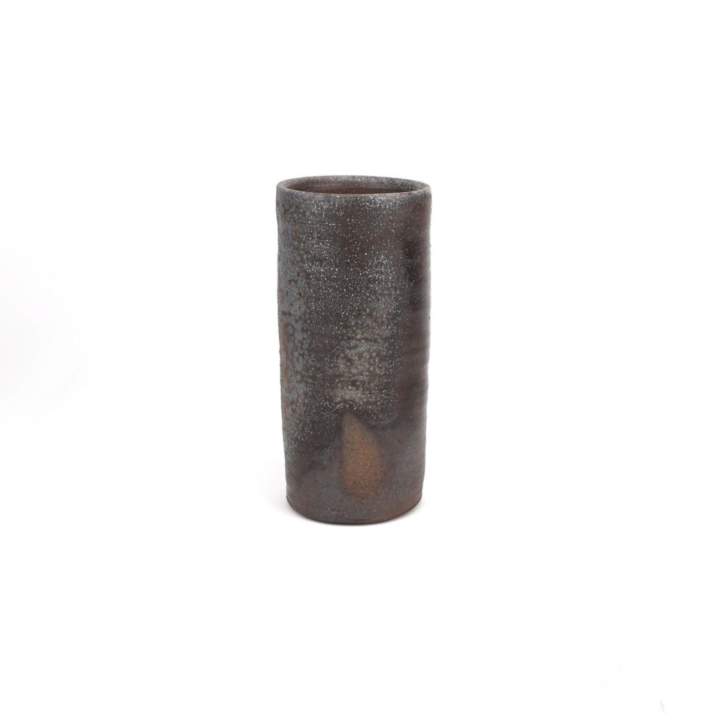 EXEV_ONLINE_Krupka_BMK24-021_1__18701.1738020589.1280.1280